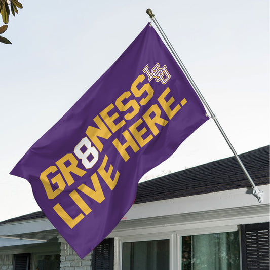 LSU 2025 NCAA Baseball National Champions V11 3D House Flag DDT TTV