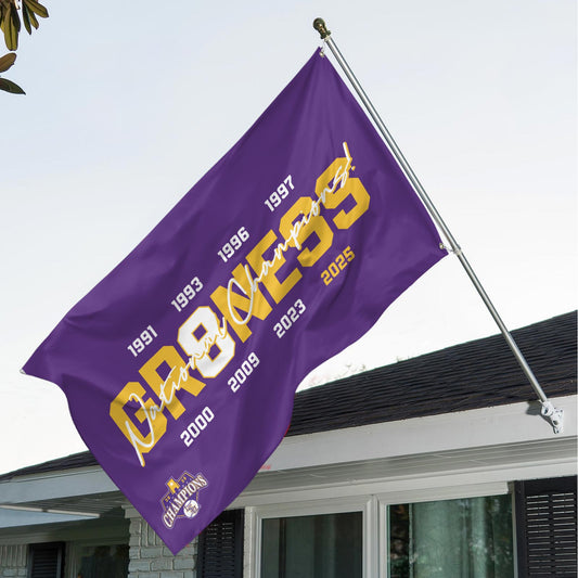 LSU 2025 NCAA Baseball National Champions V12 3D House Flag DDT TTV
