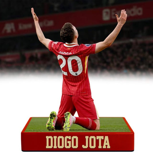 DJ20 - Thank You For The Memories V7 Acrylic Plaque DDTCTND
