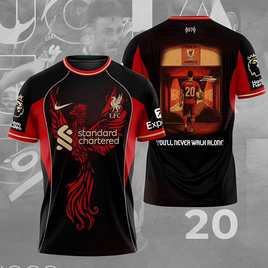 DJ 20 - You‘ll Never Wall Alone V3 Shirt DDTTTV