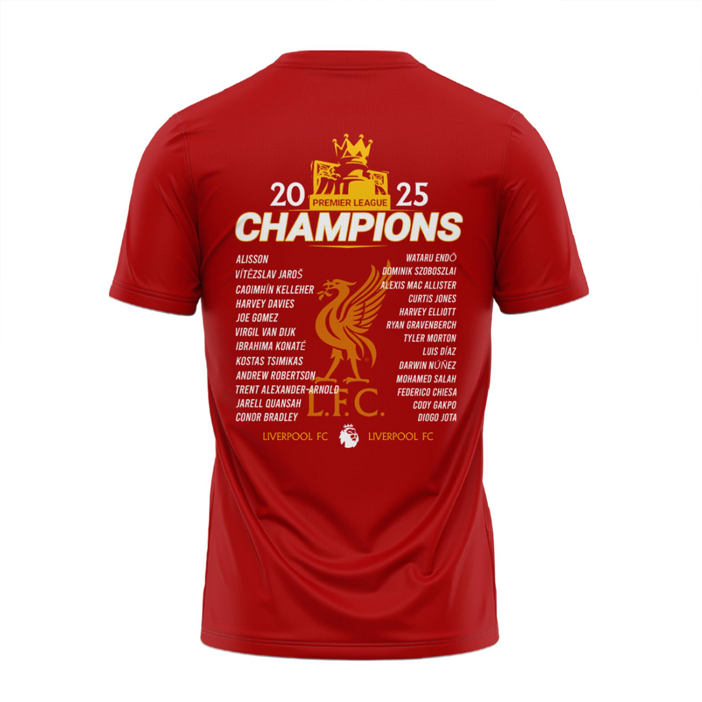 LIV 3D Shirt V2 NDD