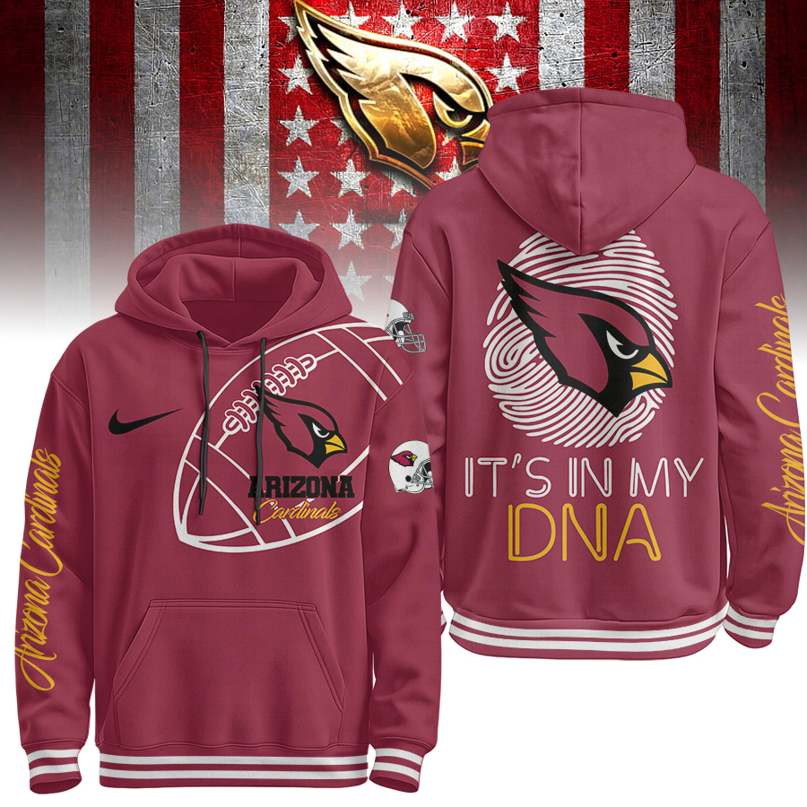 AC Premium NFL Its My DNA Hoodie DDT NTL