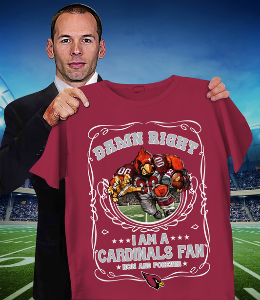 ARI x NFL Mascot 2D T-Shirt DATND TANTD 120825