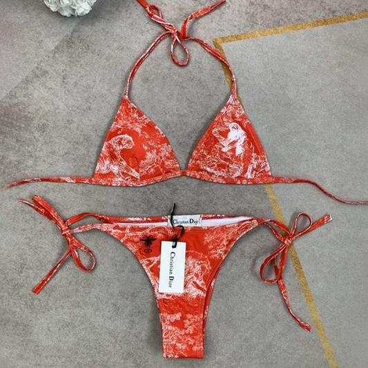 C.Dior V31 Two Pieces Bikini Hot Summer 2025 DDT CTND