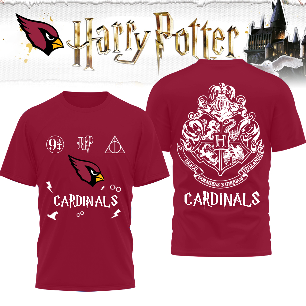 AC Premium NFL x Harry Potter 3D Shirt DDT CTND