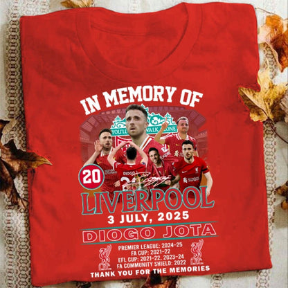 In Memory Of Liv - DJ20 Shirt DDTCTND