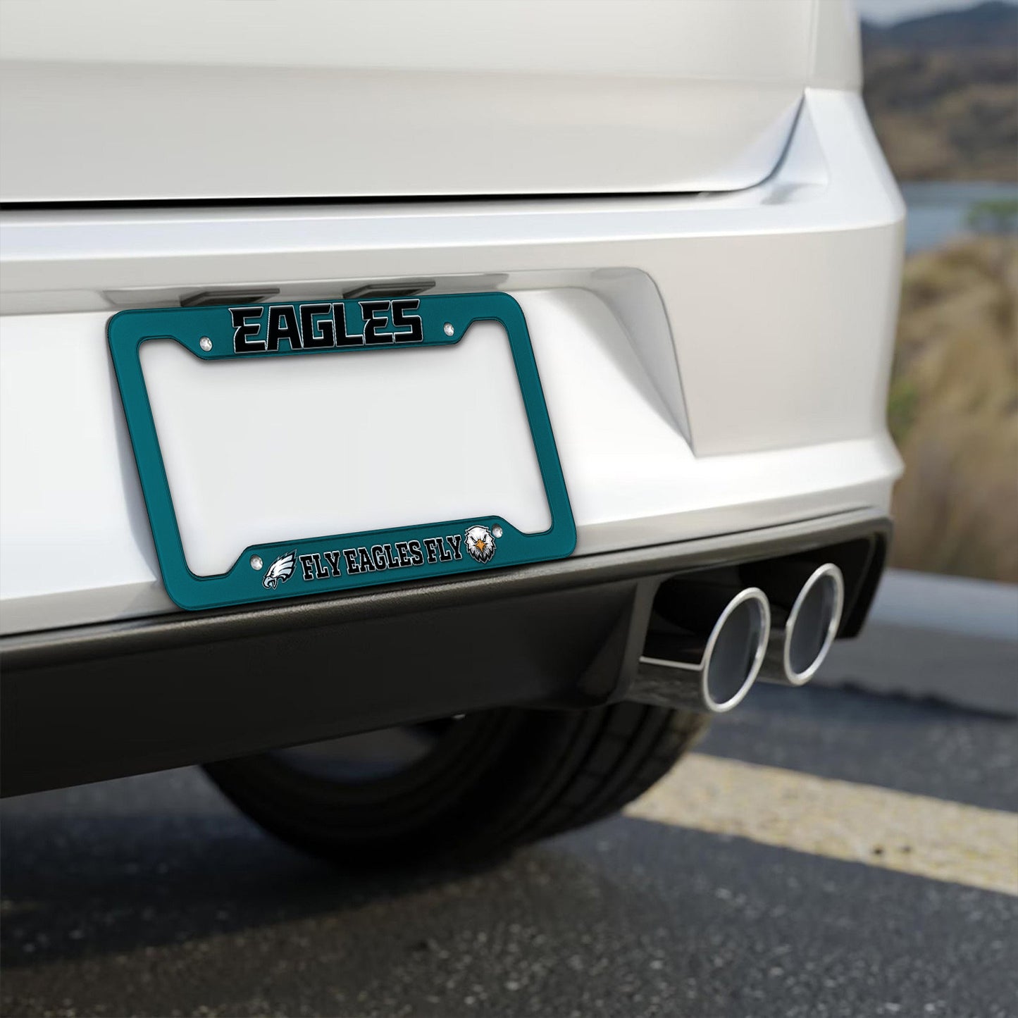 Premium NFL PLE License Plate Frame HI V1 NMD NHM