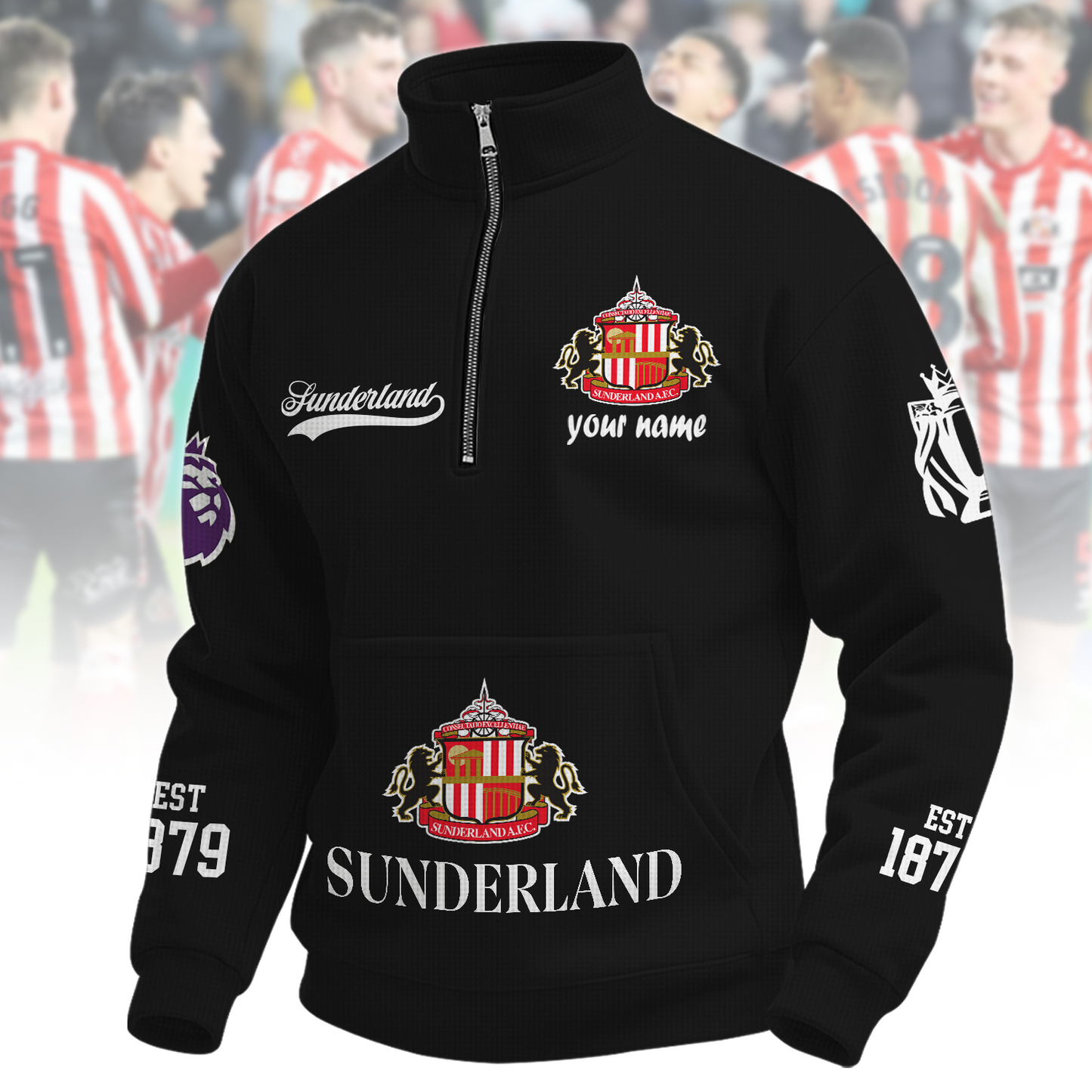 SUN x EPL Quarter-Zip Sweatshirt DatND DVT